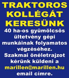 keres műszaki végzettségű munkavállalókat OKTATÁS BOLTI eladó, Boltvezető, Szakács, Cukrász, Pincér, Vendéglátásszervező, Vendéglátó üzletvezető, Vendéglátó Eladó, Aranykalászos Gazda OKJ tanfolyam.