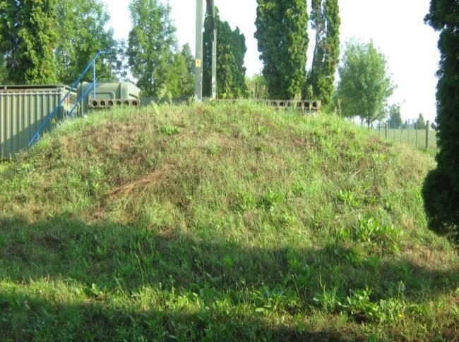 melyből 5 esetben