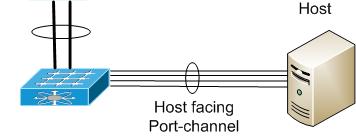 címek» Port-channel» a kapcsolót konfigurálni kell» logikailag egy kapcsolat, fizikailag linkek aggregáltja» 1 szerver 1 kapcsoló» 1 szerver több kapcsoló»
