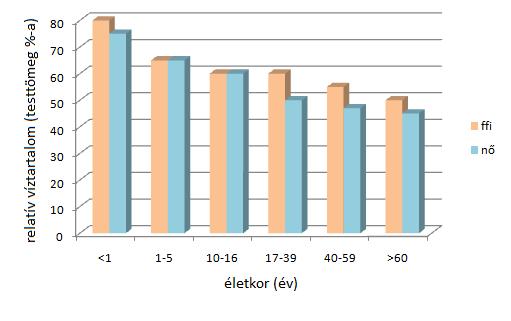 V. A SZERVEZET VÍZTEREI (5 pont) A) Az alábbi diagram és a szövegben lévő adatok felhasználásával számolja ki, hogy egy 55 éves, 60 kg testtömegű nő szervezetében hány kg (l) víz található az