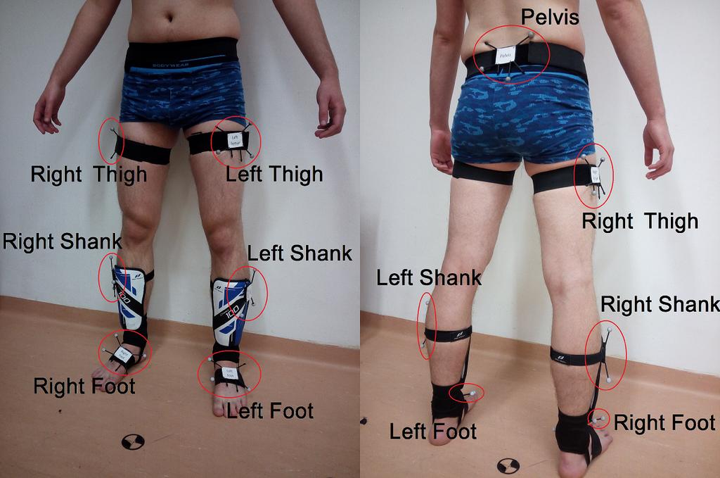 3. RIGID CLUSTER PROTOKOLL FEJLESZTÉSE A MUBMA programmal végzett mérések egy optikai MoCap rendszer segítségével, az anatómiai pontok kijelölése a bemutatott kalibrációs eljárással (2.