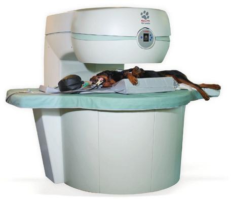 STIR, FLAIR, STIR Myleo, SE, GE Klinikai esetek: A Vet-MR