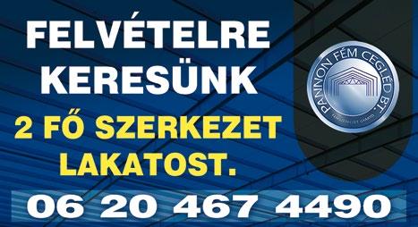 Helyszín: Cegléd (gyár területén üzemelő konyha).
