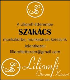 Ha talpraesett és jól bánik az emberekkel, kiemelkedő kereseti lehetőséget kínálunk egy fiatal barátságos csapatban!