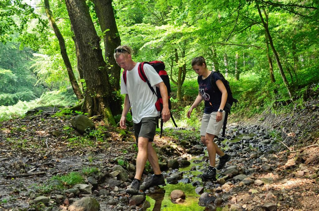 Öko/ Aktív/ Zöld / Természeti turizmus fontossága NTS 2030 alapján Aktív turizmus pulzusemelkedés Természeti turizmus passzívan aktívkodás Jellemzői: - elsősorban belföldi vendégek veszik