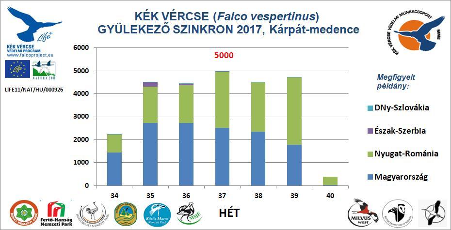 18. ábra: A szinkron napokon számolt összes kék vércse egyedszám változása Magyarországon és a Kárpátmedencében, 2017-ben Forrás: Magyar kékvércse-védelmi munkacsoport (2017) A felhasznált adatok a