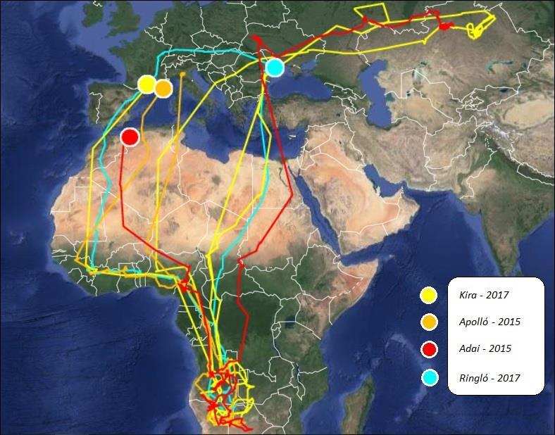 mintegy 3000 kilométeres Szaharát vagy egy ennél is hosszabb nyugati kerülő úton kell eljutniuk Európába.