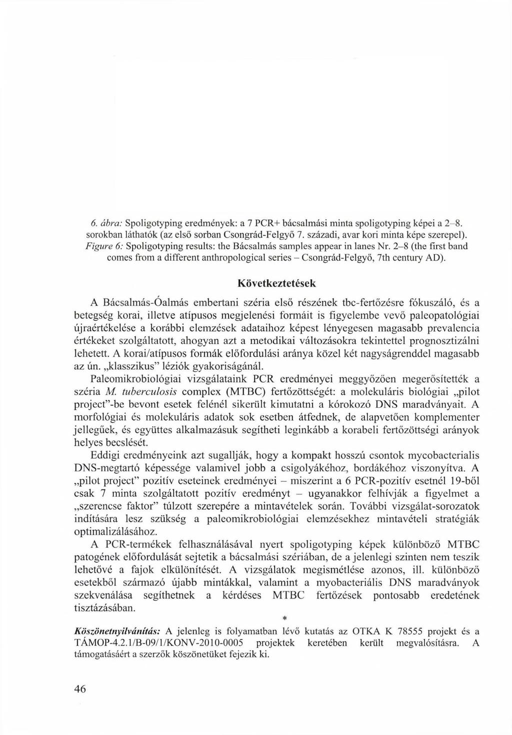 6. ábra: Spoligotyping eredmények: a 7 PCR+ bácsalmási minta spoligotyping képei a 2-8. sorokban láthatók (az első sorban Csongrád-Felgyő 7. századi, avar kori minta képe szerepel).