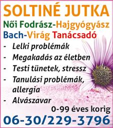 www. dpmsz.