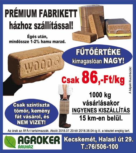 1434 CEGLÉD belvárosában csendes kis utcában 120 nm családi ház eladó.