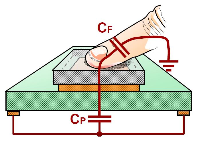 CF 7 pf