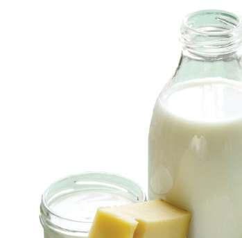 HOGYAN KERÜLJÜK EL A TEJTERMÉKEKET Amennyiben a FOODTEST 200+ vizsgálat POZITÍV reakciót ad a tejre, ajánlott étrendjéből a tejet és valamennyi tejterméket elhagyni.