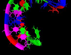 RNAi terápiás lehetőségek tumorokban Oblimersen (Genasense )-Fázis II/III stádiumban Bcl-2 antisense oligo A Bcl-2 anti-apoptotikus fehérje, sok tumorban overexpresszált. (CLL, MM, NHL, stb.