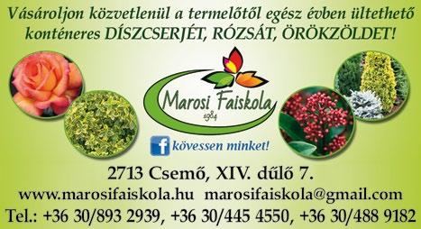 DÉL-PEST MEGYE w w w. d p m s z. h u 2018. október 8., XXIX/41.