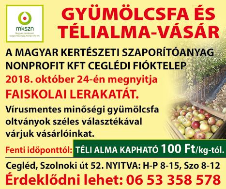 Orvosieszköz-gyár BETANÍTOTT CSOMAGOLÓ, GÉPKEZELŐ nettó bér: 146 000 Ft - 216 000 Ft ingyen szállás