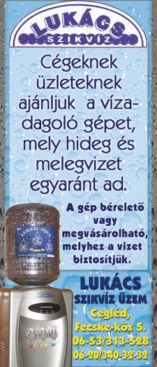 Utaló jel lehet rá a vakarózás, viszketés, de ennek mértéke egyéni reakciótól függ, van akinek nem alakul ki allergiás tünet a szívás helyén.