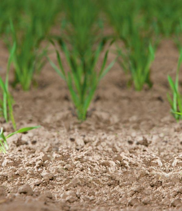 Every Crop Deserves the Best Care Mi a Kvernelandnál hiszünk abban, hogy a fejlesztéseinkkel hozzájárulunk a jövő fenntartható mezőgazdaságához.