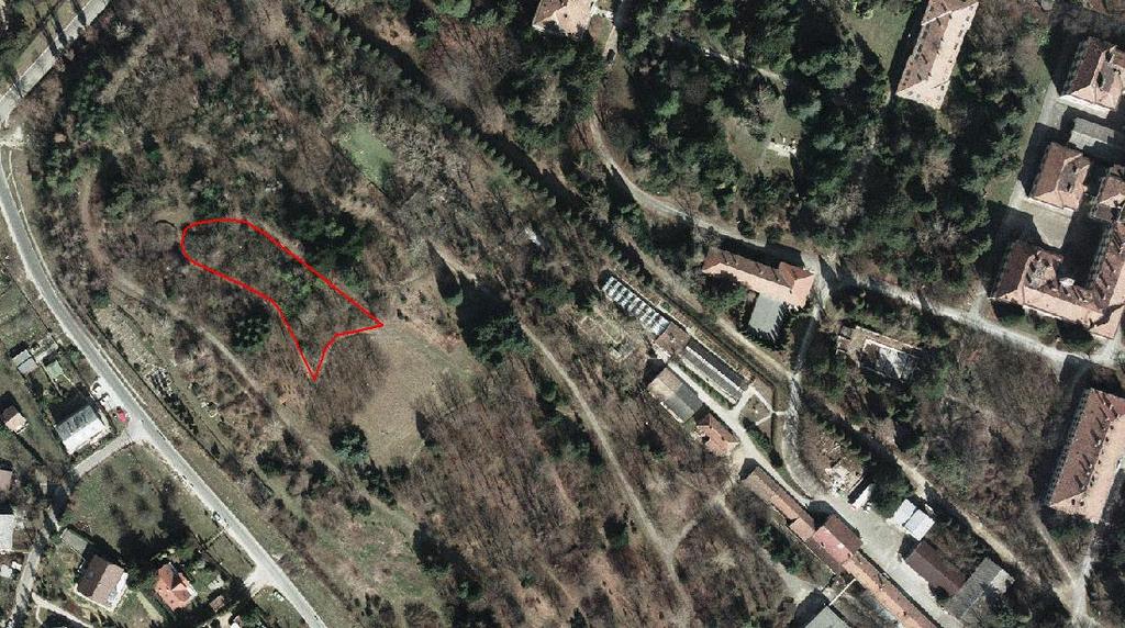 A parcella területe sűrű borítású, túlnyomó részt közepes nagyságú, 10-15 méteres fákkal és néhol sűrű cserjeszinttel.