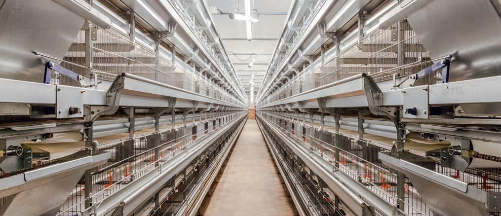 Nevelés UNIVENT Starter 630 és 680 3-8 szint ketrec