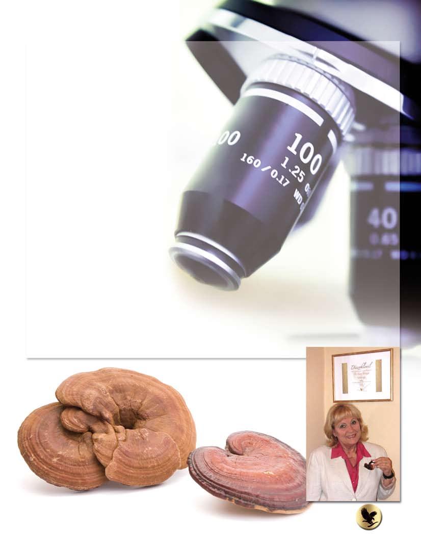 Literatura: (1) Babulka P.: A XXI. század gyógyítói: a gombák Elektronikus irodalom (2) Berger A., et al.