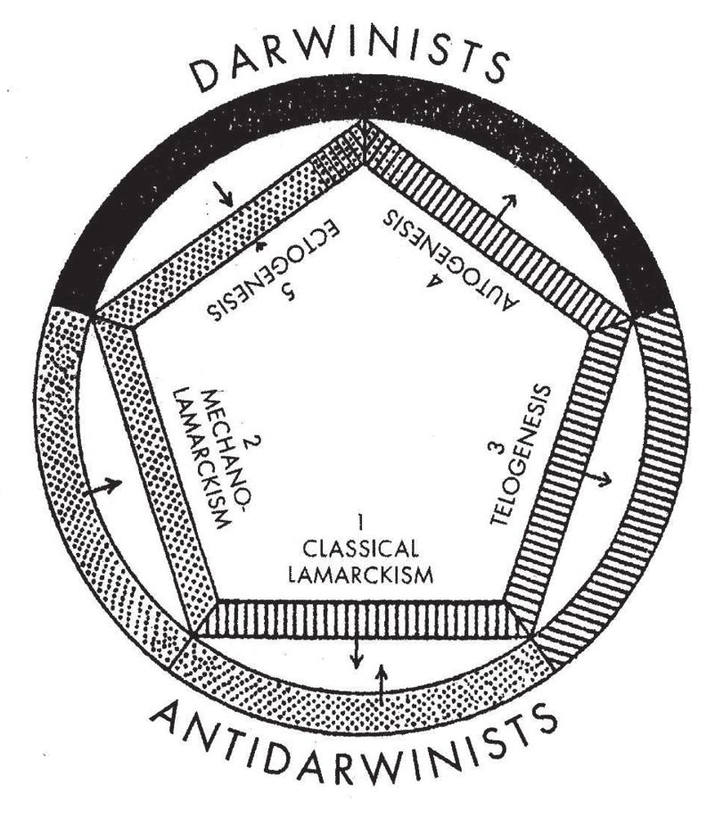 118 Comm. de Hist. Artis Med. 238-241 (2017) These events are analyzed in detail by Russian historians of biology (e.g. Колчинский, 1999, 2007) but also by Western historians (e.g. Jorawsky, 1961, 1970).