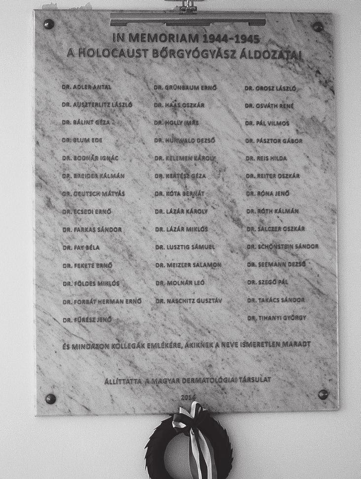 204 Comm. de Hist. Artis Med. 238-241 (2017) This article is based on a memorial presentation at the Annual Meeting of the Hungarian Dermatological Society held in November 2014.
