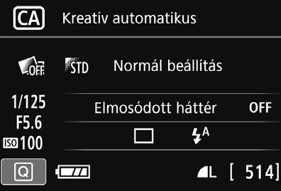 C Kreatív automatikus fényképezés (1) Záridő Rekesz ISO-érzékenység (2) (3) (5) (4) Ha a fényképezőgép Élő nézet felvétel üzemmódjában beállítja az (1), (2) vagy (3) funkciót, a hatás a fényképezés
