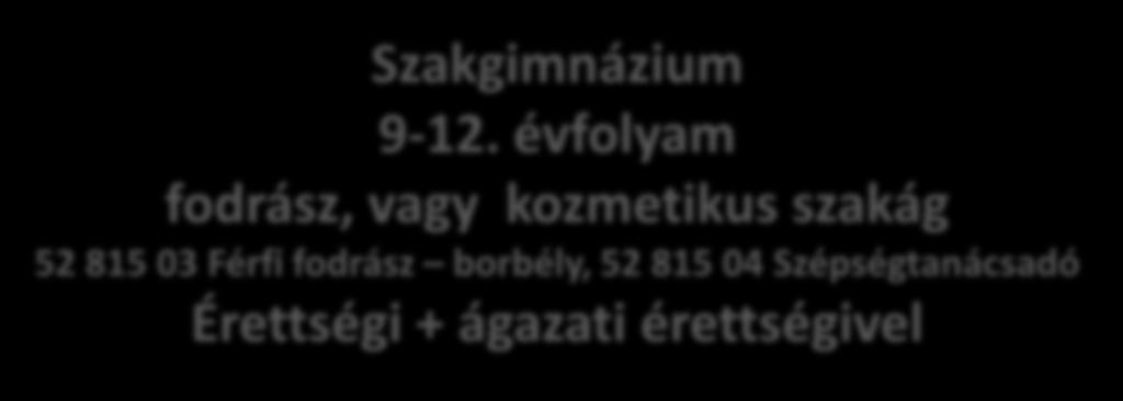 Szakgimnázium