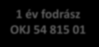 kozmetikus OKJ 54