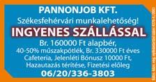 Szakképzettség nem szükséges, de varrni tudjon!