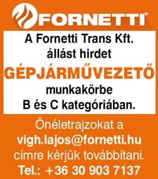 hu 06-1/8980-804 Az Aranyhomok Szálloda felszolgálót keres!