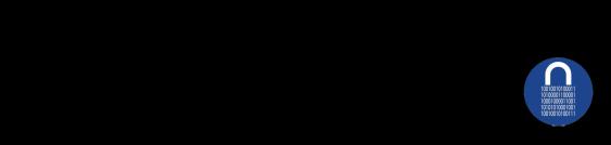 Partner, tulajdonos FORTIX Consulting, MySec 20 év szakmai