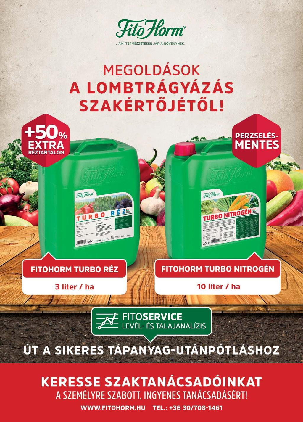 6 Idejében