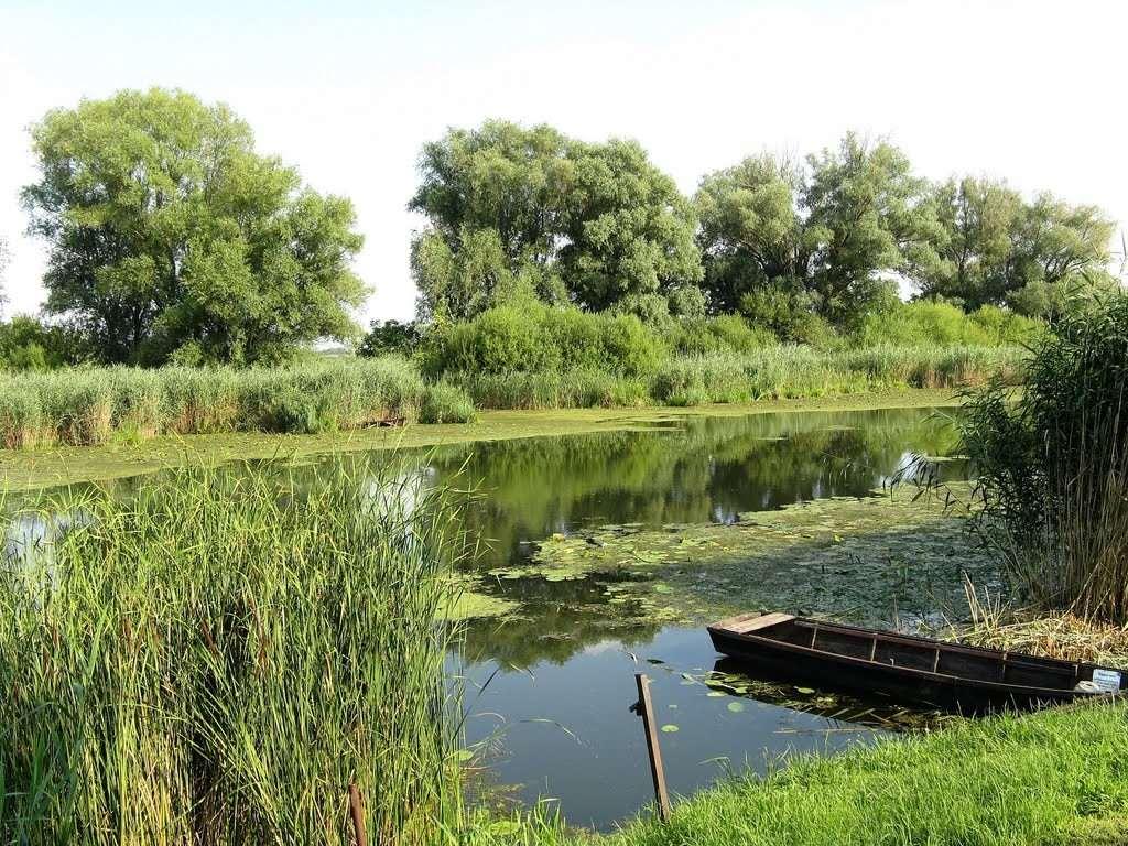 3 Örökségünk 8 ÖRÖKSÉGÜNK Dávod község védett természeti értéke a Mohácsi szigeten, a dávodi fürdő szomszédságában található Földvári tó.
