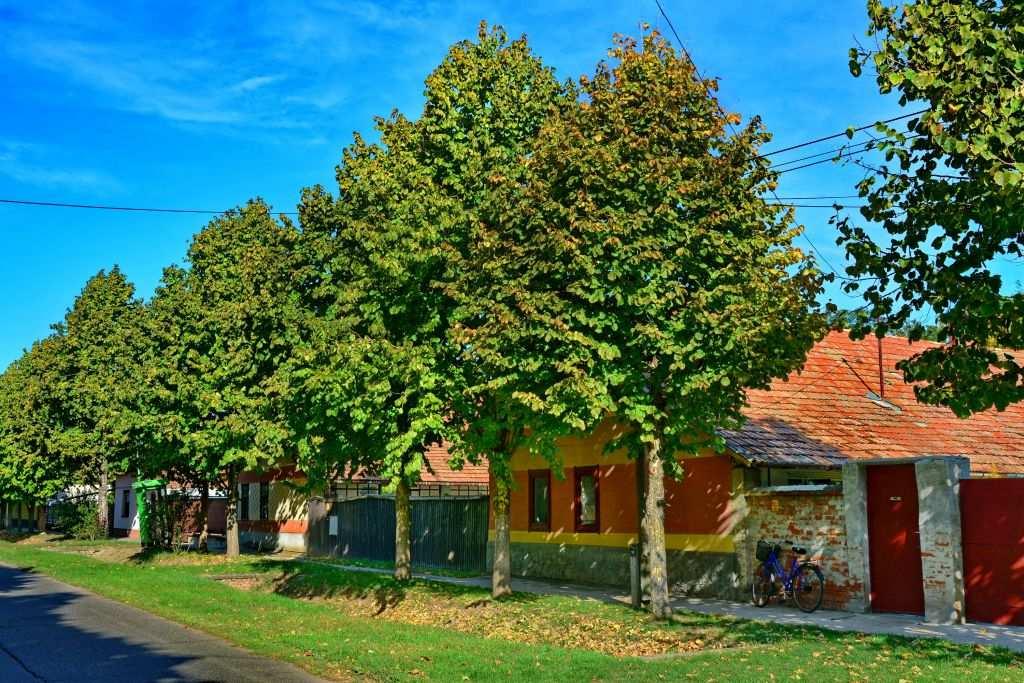 A lakóházakat, belterületen jellemzően előkert választja el az utcafronttól,