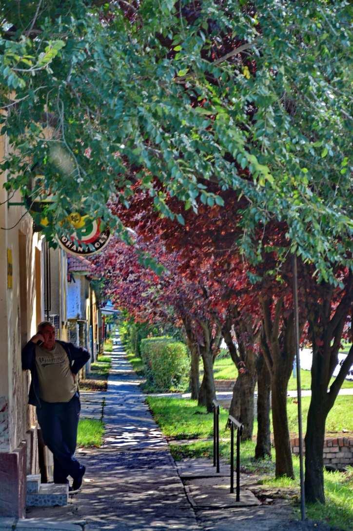 Településkép szempontjából is meghatározó az utcák, utcai előkertek szép,