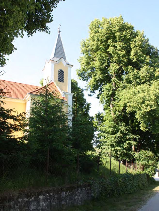 8 Bakonyszentkirály bemutatása A község lakóinak száma jelenleg 850 fő.