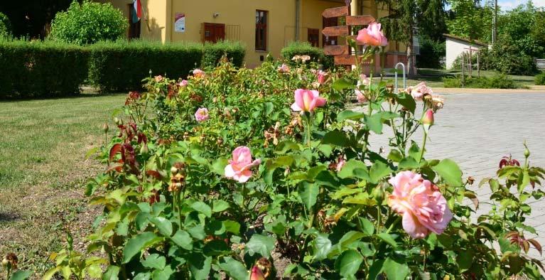 26 Mai példák KERTEK Előkertek, utcák Sajószögeden az épület