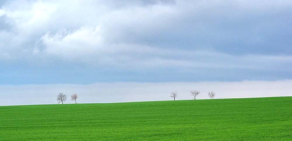 populációt őriznek.