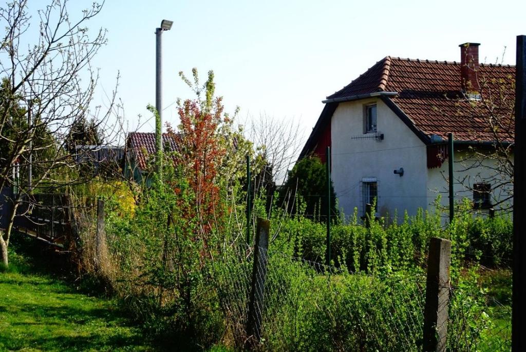használat alakult ki.
