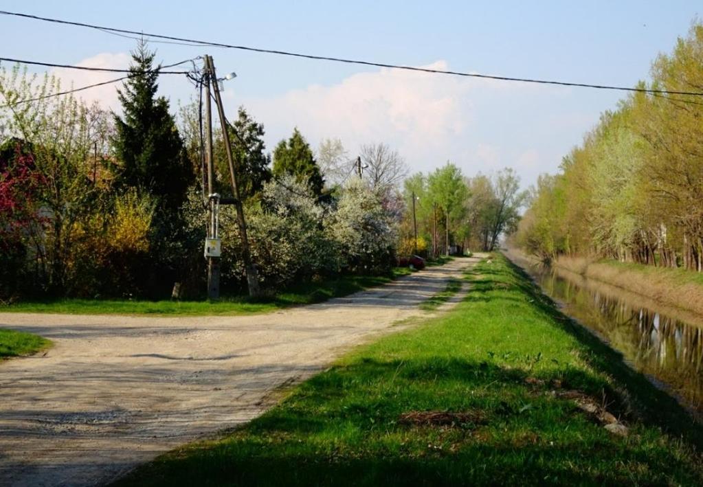 főcsatorna és a Tisza