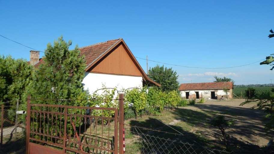) A mai 44-es főútról leágazó, arra merőleges dűlőutakra vannak felfűzve a tanyasias beépítésű épületek.