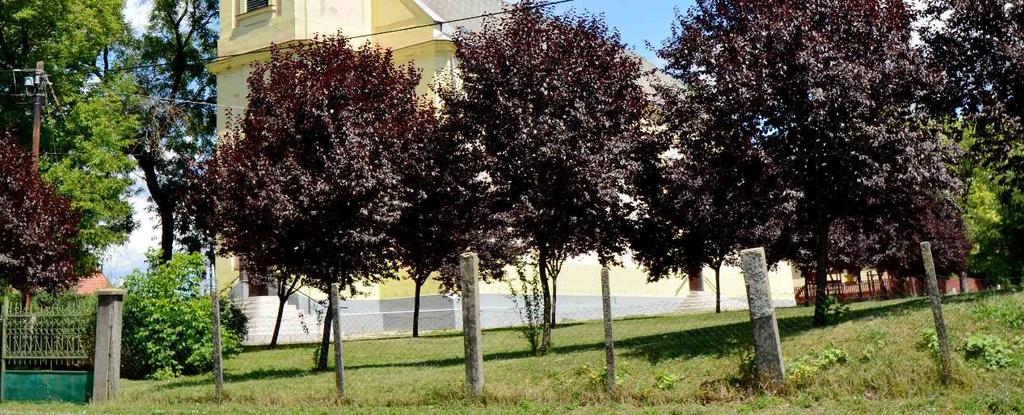 Településünk áthalad a Budapest-Miskolc vasútvonal, így az vonattal is könnyen megközelíthető. A község déli közigazgatási határa, Heves megye közigazgatási határa is egyben.
