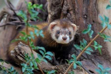 A település a Bükki Nemzeti Park Igazgatóság működési területén található a Hatvani síkon.