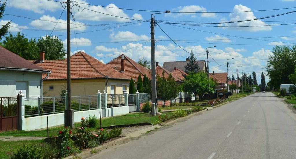 nyújtanak.