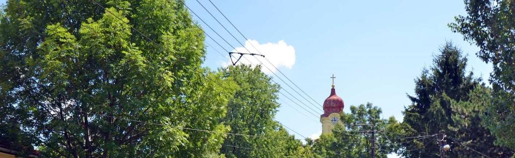 BEVEZETÉS 1 Bevezetés 1 A Kárpát-medence természet adta és ember alkotta értékeinek ápolása és megóvása fontos feladatunk.