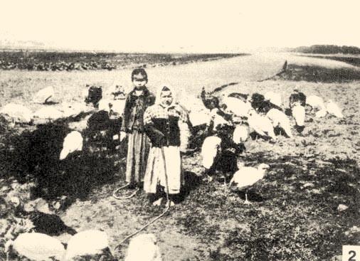 A mezei munkát végz k ruhája sokszor nagyon hamar bekoszolódott, így k a