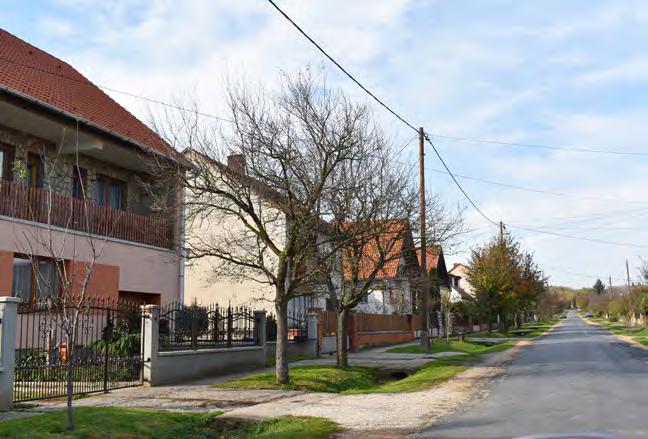 A 90-es évek posztmodern és a későbbi mediterrán irányzatok nem jelentek meg