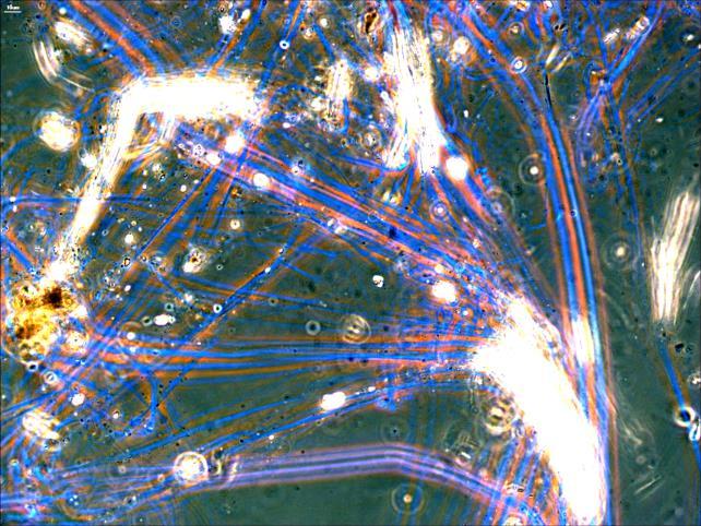 2536 Nyergesújfalu Babits M. u. 2. 06-33-504-080 Környezetvédelmi Szolgáltató és 06-33-504-081 Kereskedelmi Korlátolt Felelősségű Társaság E-mail:kor-ker@