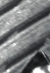 Positionsrückführung Speichern, Protokollerstellung und Archivieren auf einen Knopfdruck.